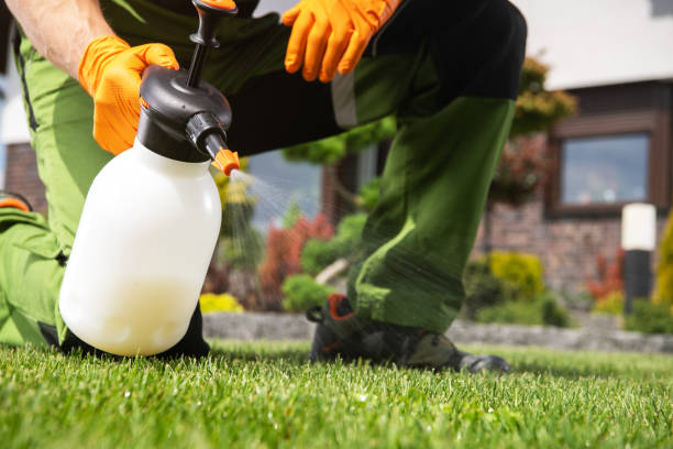 Best Affordable Pest Control Services  in Pflugerville, TX